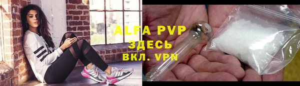 спайс Вяземский