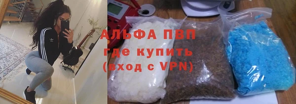 спайс Вяземский