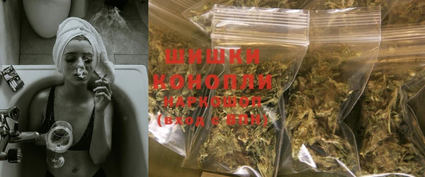 индика Сясьстрой